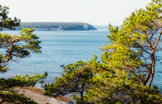 Gotland Photo of Gotland