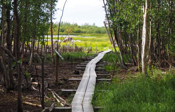 Northern Ostrobothnia Photo of Northern Ostrobothnia